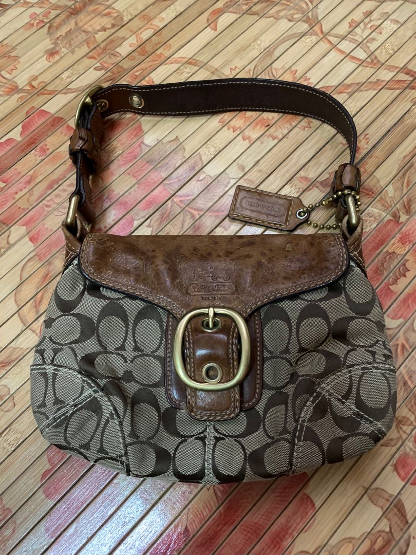 cuci handbag coach