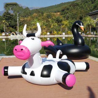 Floaties & Inflatables Collection item 2