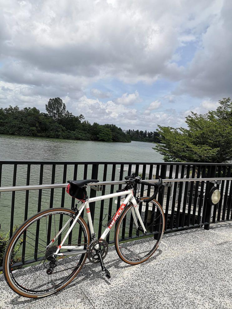 Eddy Merckx Roubaix 70