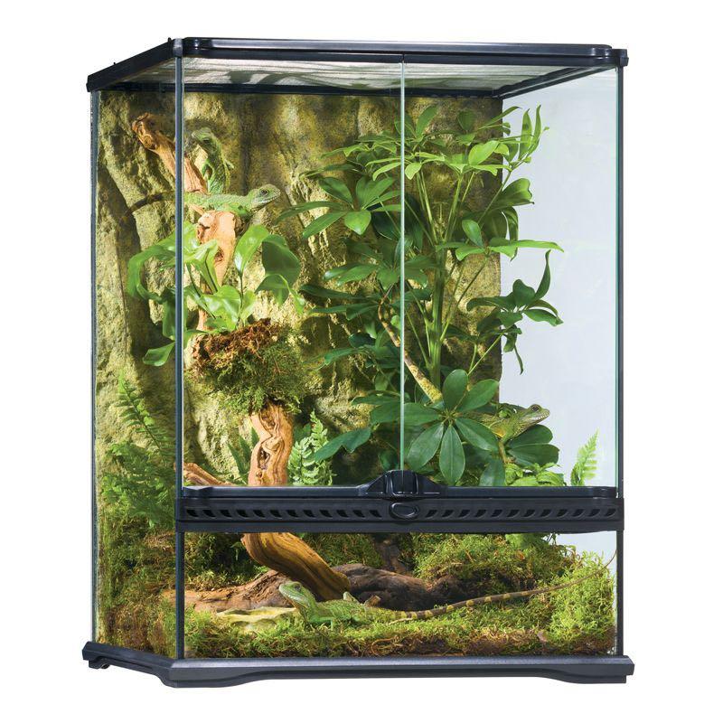 Exo Terra Terrarium Reptile Tank Pet Supplies Homes Other Pet