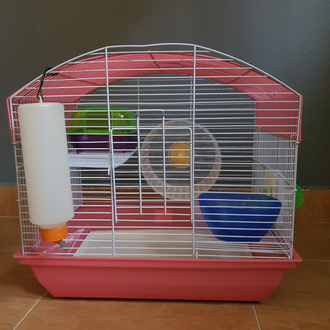 What Size Cage Does A Hamster Need? motosdidac.es