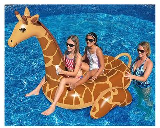Floaties & Inflatables Collection item 3