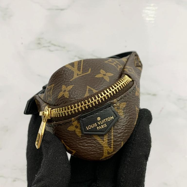 Louis vuitton fanny pack with coin purse hot sale
