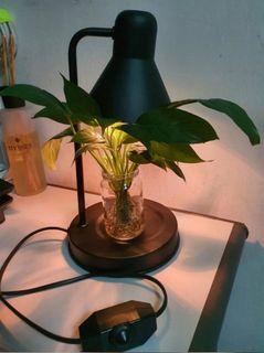 (Category: ) located in . Submitted by SellingAllToYou (Listing ID 1148681426, Image 1). Description: .