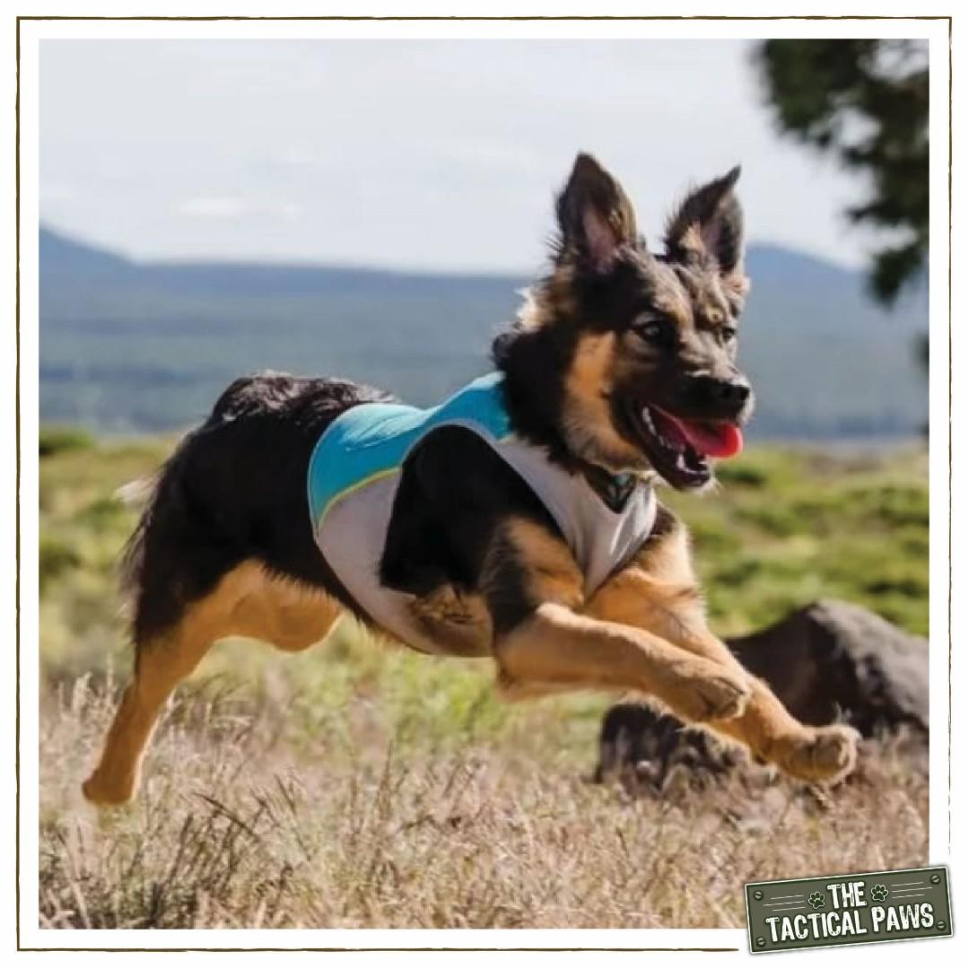 Ruffwear jet stream discount cooling vest