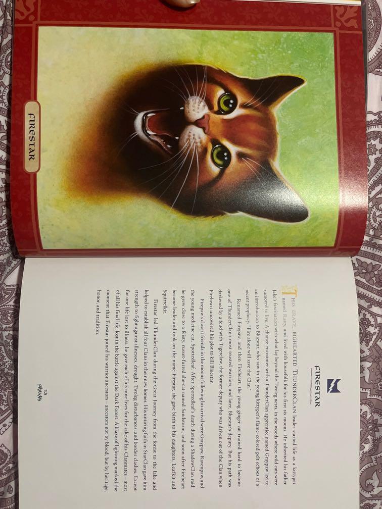 warrior cats ultimate guide book, Hobbies & Toys, Books & Magazines