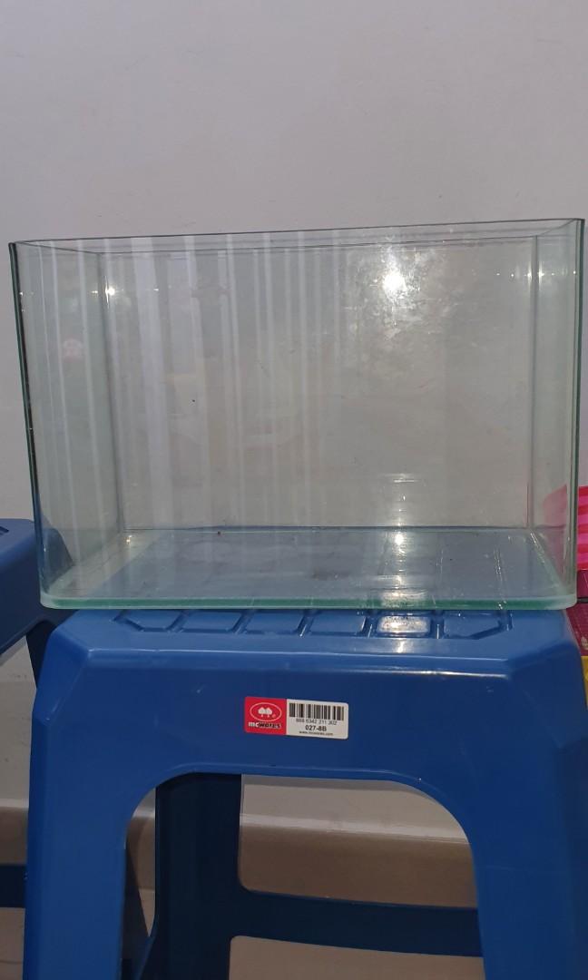 2 Curve tank for betta, Pet Supplies, Homes & Other Pet Accessories on