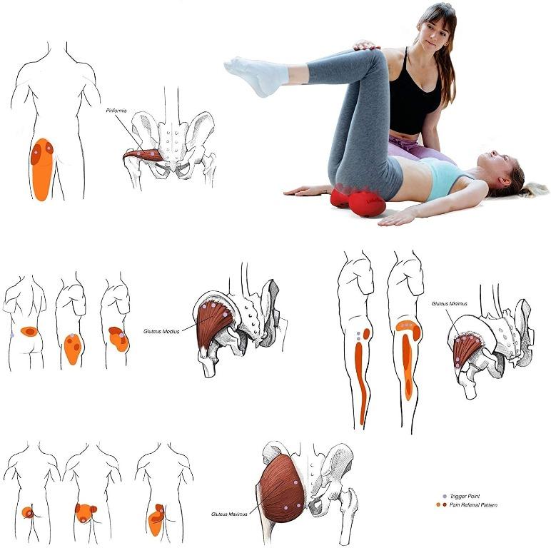 Self Myofascial Release Technique For The Gluteus And Piriformis My Xxx Hot Girl