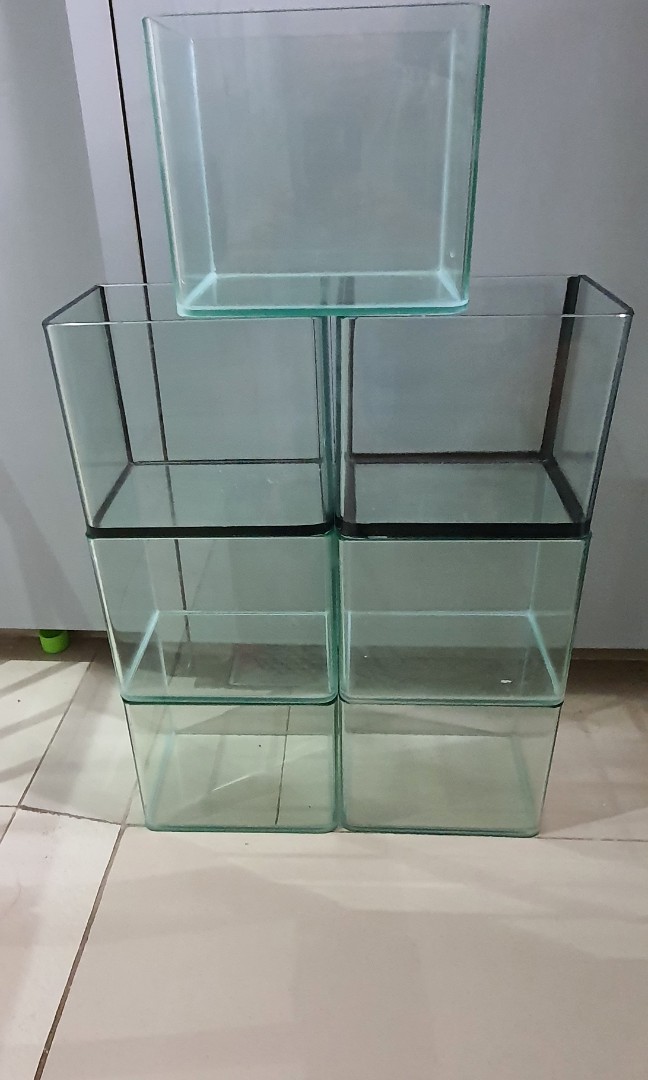 7 Curve tanks for bettas, Pet Supplies, Homes & Other Pet Accessories