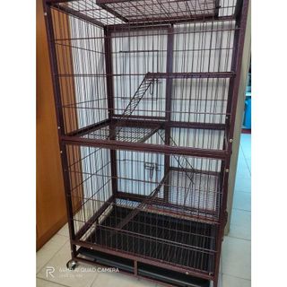 (Category: ) located in . Submitted by petfectstore (Listing ID 1148962321, Image 1). Description: .
