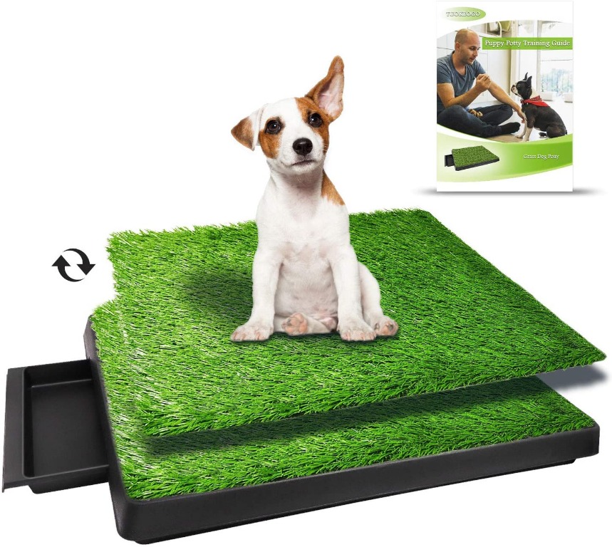 Puppy potty online training turf