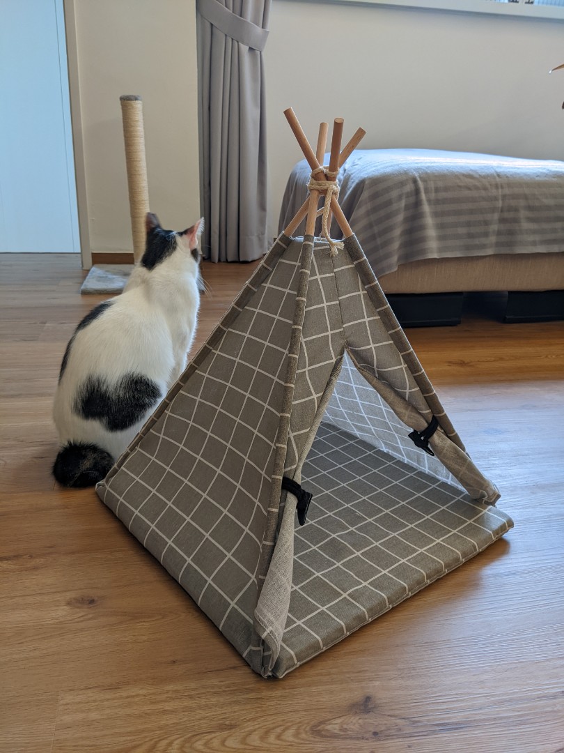 Foldable Cat House Teepee, Pet Supplies, Homes & Other Pet Accessories on Carousell