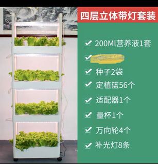 (Category: ) located in . Submitted by xingyingxin (Listing ID 1148980290, Image 1). Description: .