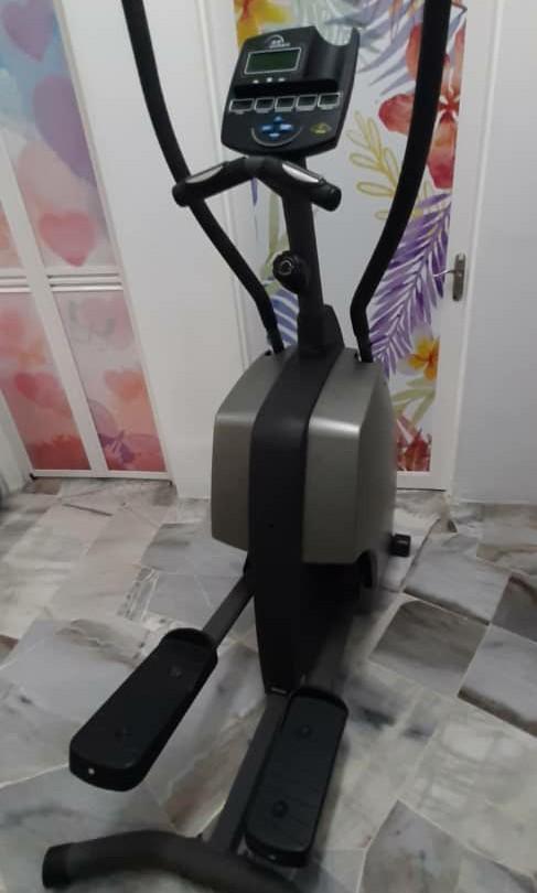 Original Diamondback 300 series Elliptical Fitness Cross Trainer