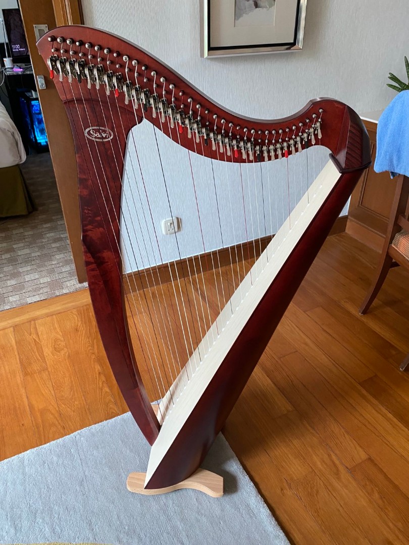 Salvi mia top harp for sale