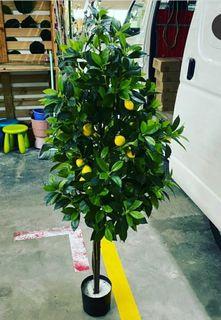 Artificial fake lemon tree 1.5m height