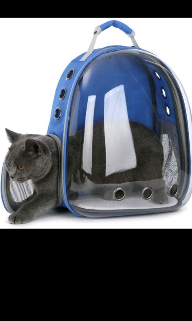 Used deals cat carrier