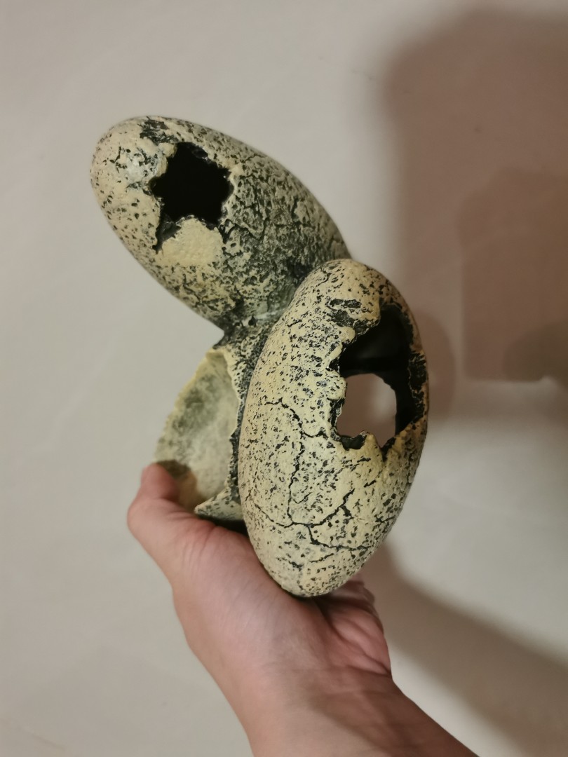 Exo terra 2025 dinosaur eggs