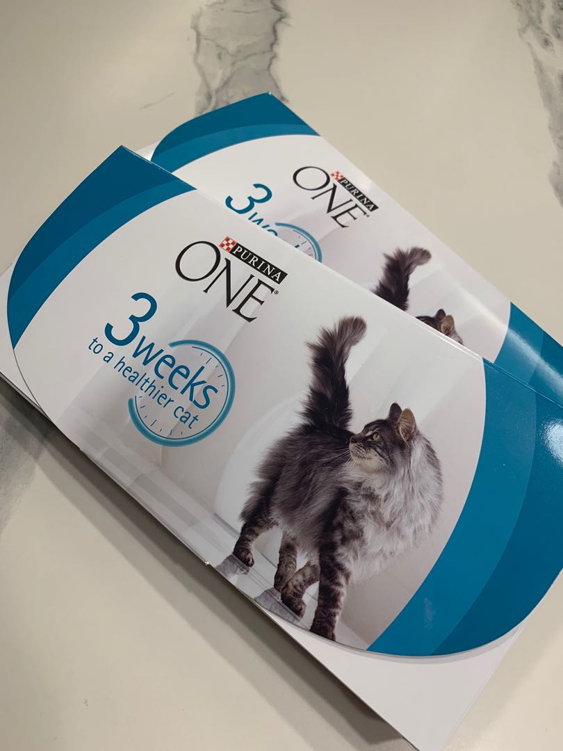 Purina One Kibbles for Cat/Kitten (Premium Dry Cat Food), Pet Supplies