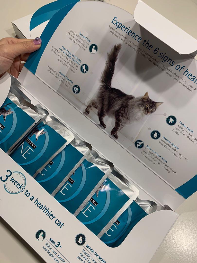 Purina One Kibbles for Cat/Kitten (Premium Dry Cat Food), Pet Supplies