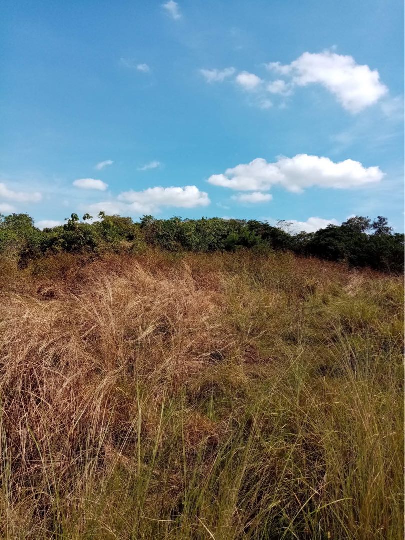 SAN MIGUEL BULACAN LOT FOR SALE, Property, For Sale, Lot on Carousell
