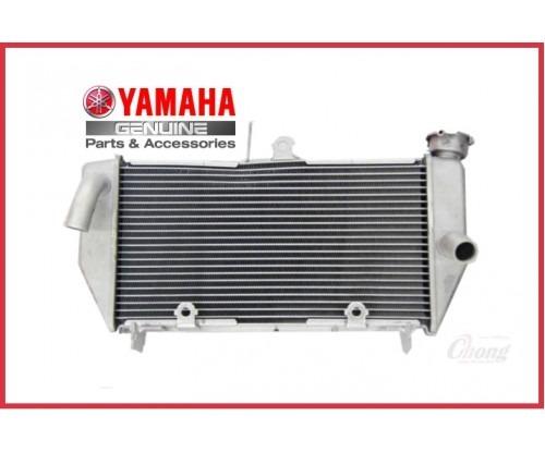 100 Original Yamaha R25 Radiator Assy Motorbikes on Carousell