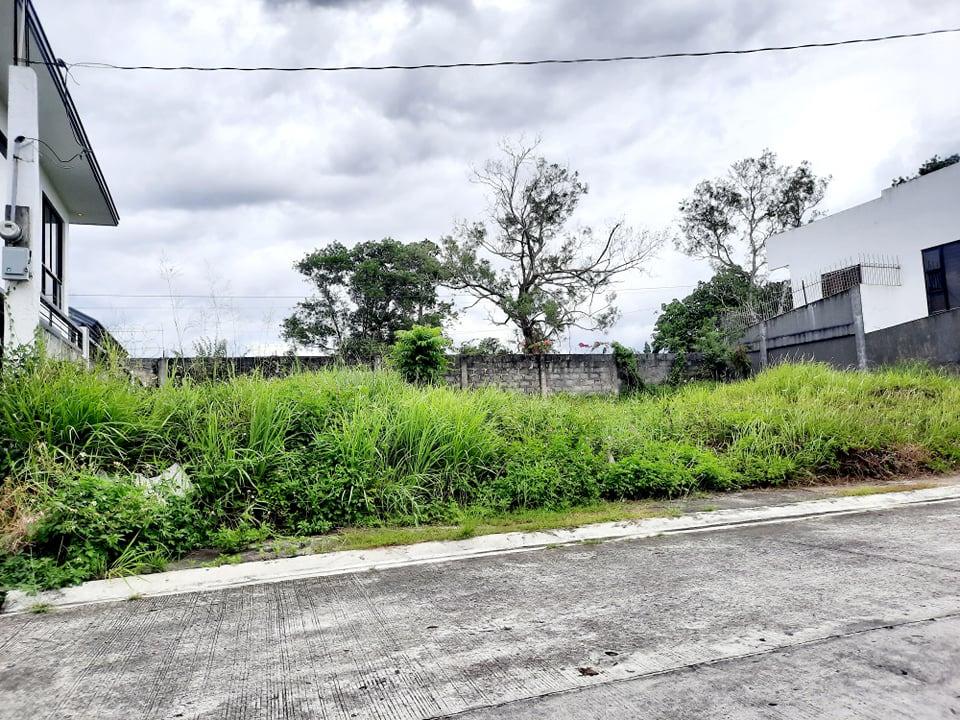 150 sqm Riverwalk Subdivision, Vista Alegre, Bacolod City, Negros