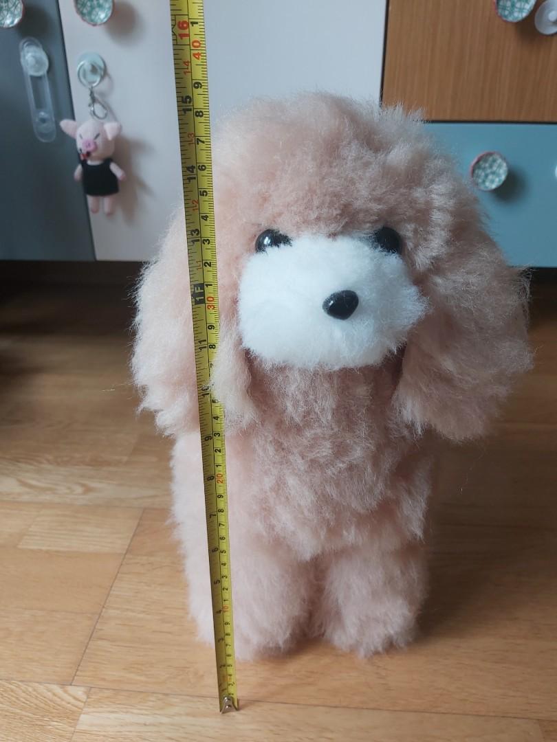 Practise Pet Grooming 剪毛寵物美容狗狗練習道具 寵物用品 寵物衣服 Carousell