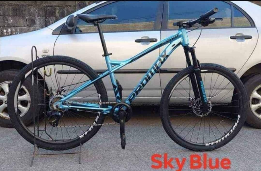 PrOmax PM17, Sports Equipment, Bicycles & Parts, Bicycles on Carousell