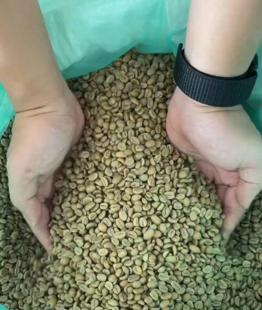 Single Origin Green Coffee Bean Arabica & Robusta, Food & Drinks