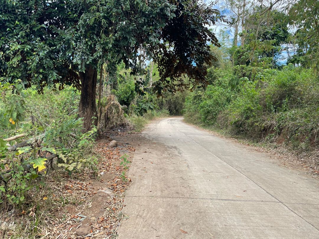 1.4 HEC Raw Land For Sale Morong Rizal Narciso Realty, Property, For