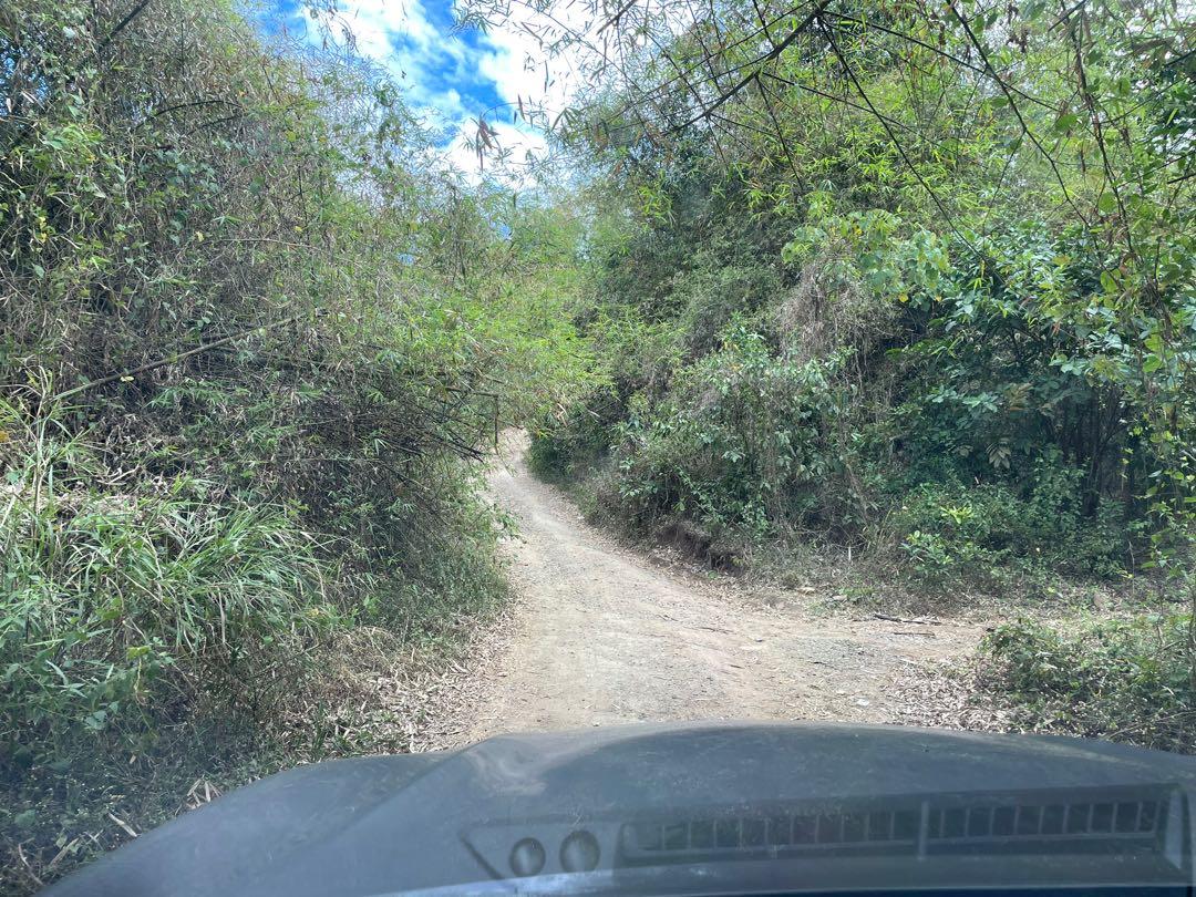 1.4 HEC Raw Land For Sale Morong Rizal Narciso Realty, Property, For