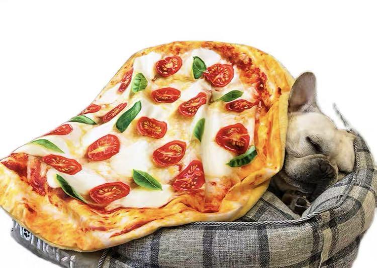 Tiktok trending】🐶🐱 Creative Pet blanket cabbage 🥬 bacon 🥓 pizza 🍕  avocado 🥑 funny cute dog cat cover soft blankie accessories pets supplies  cosplay Halloween photoshoot novelty, Pet Supplies, Homes & Other
