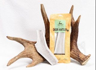 （分類：）位於 。 由 jaybudd_petsalon 提交（商品編號 1149527785，圖片 1）。簡介： 。
