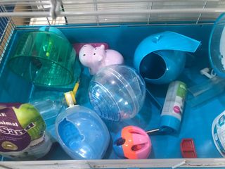 (Category: ) located in . Submitted by anjumh (Listing ID 1149615254, Image 1). Description: .