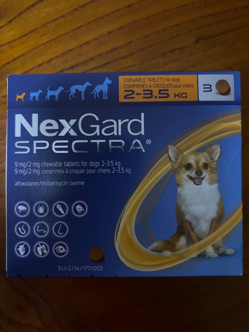 Nexgard spectra extra small dog clearance
