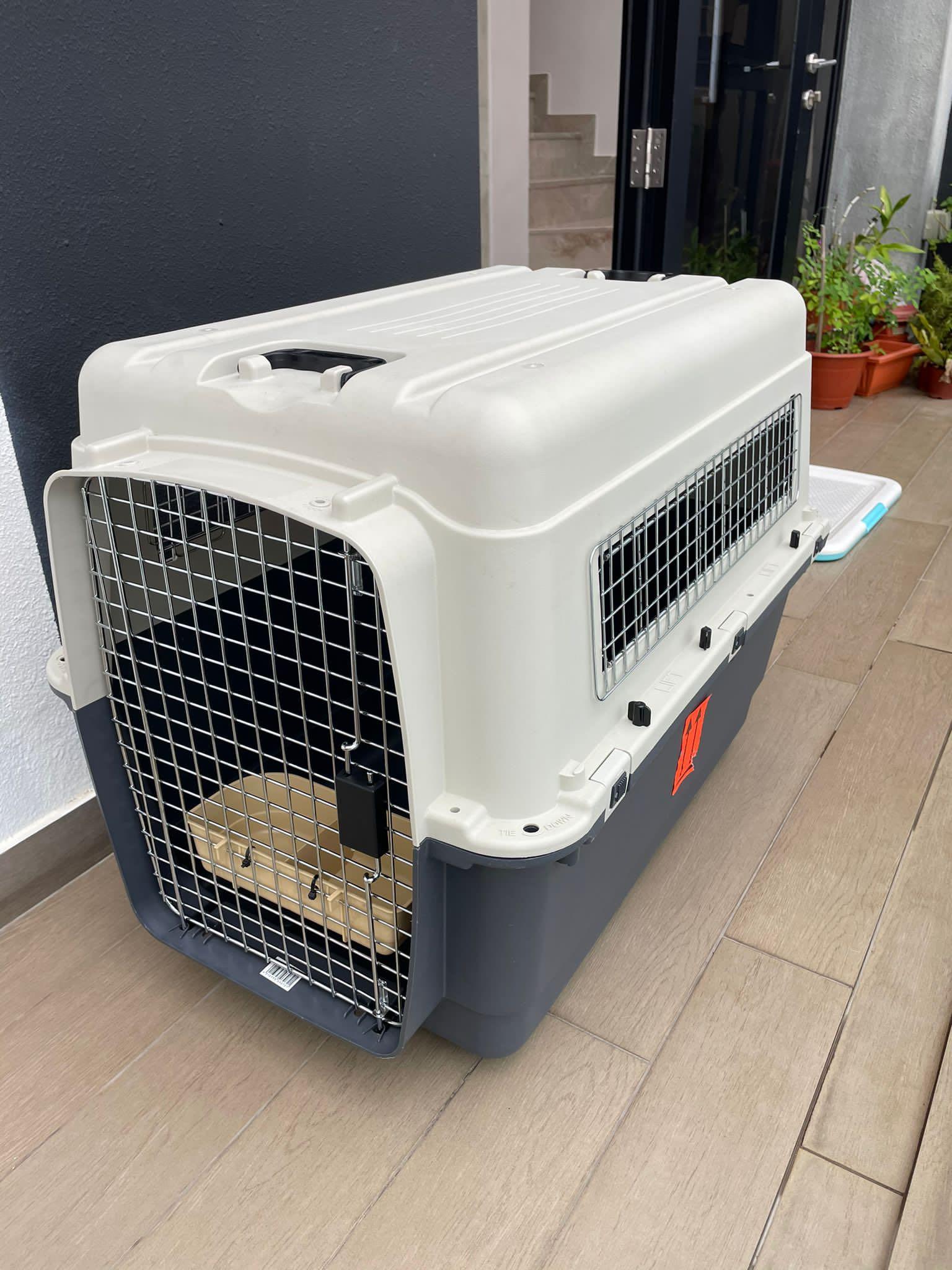 Pet carrier 32 x 22 x 23 inches Pet Supplies Homes Other