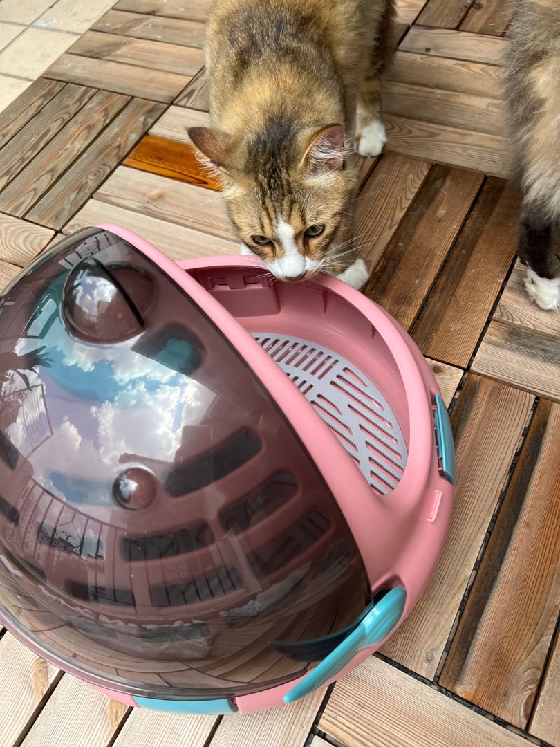 Round hot sale pet carrier