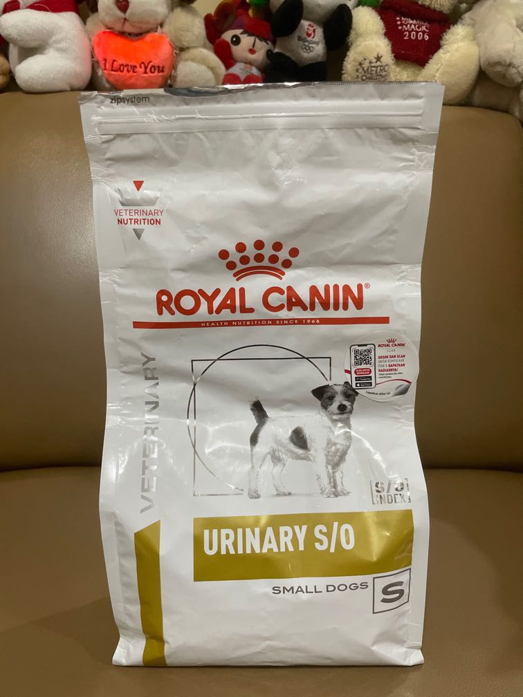 Perbedaan royal canin urinary care dan urinary so 2025