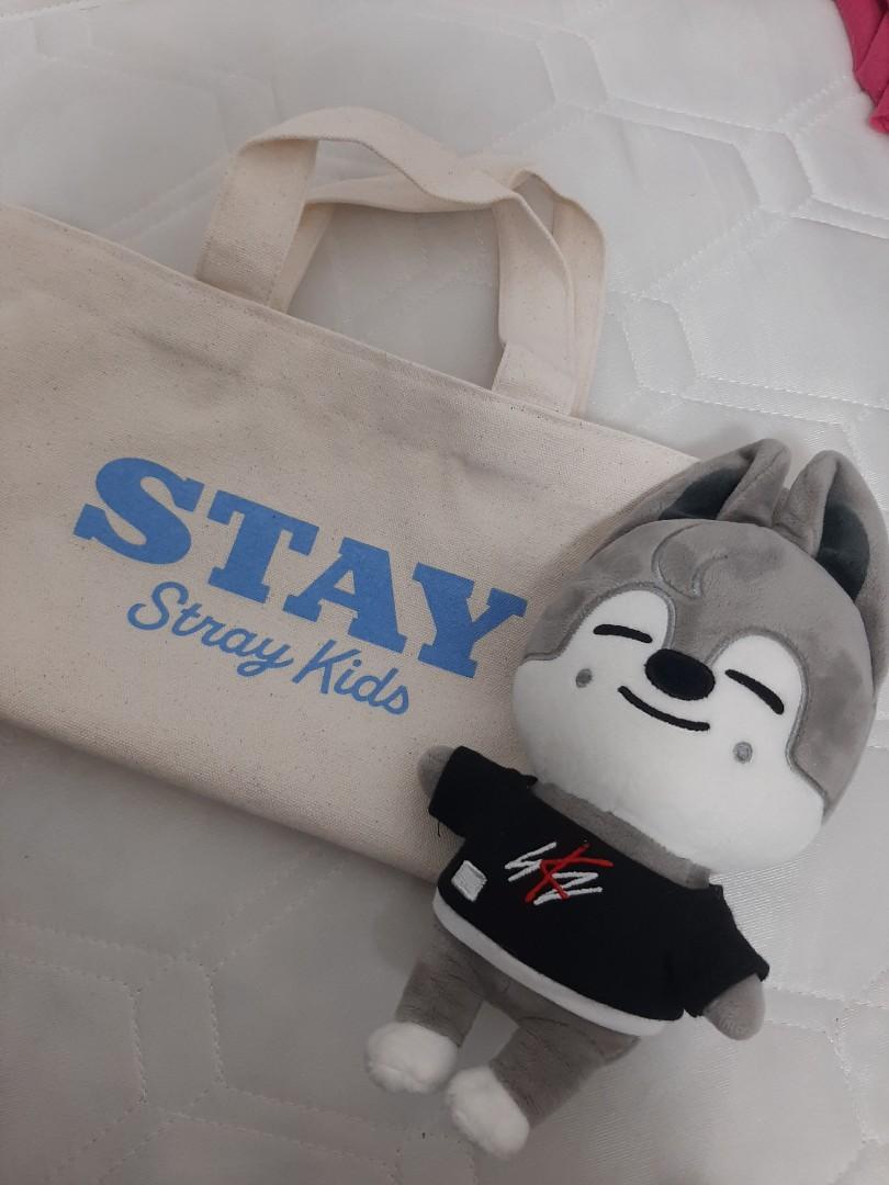 Stray kids 2025 bag