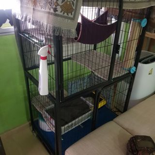 (Category: ) located in . Submitted by sabil1995 (Listing ID 1149723474, Image 1). Description: .