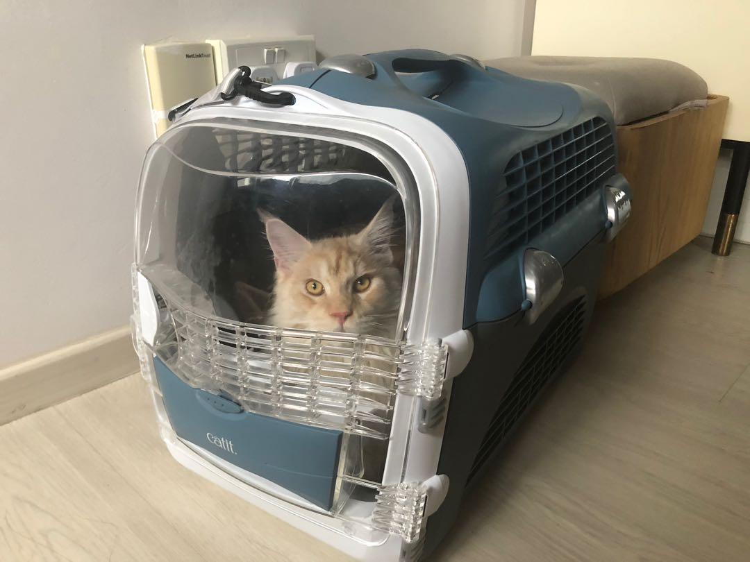 Catit cabrio replacement sales door