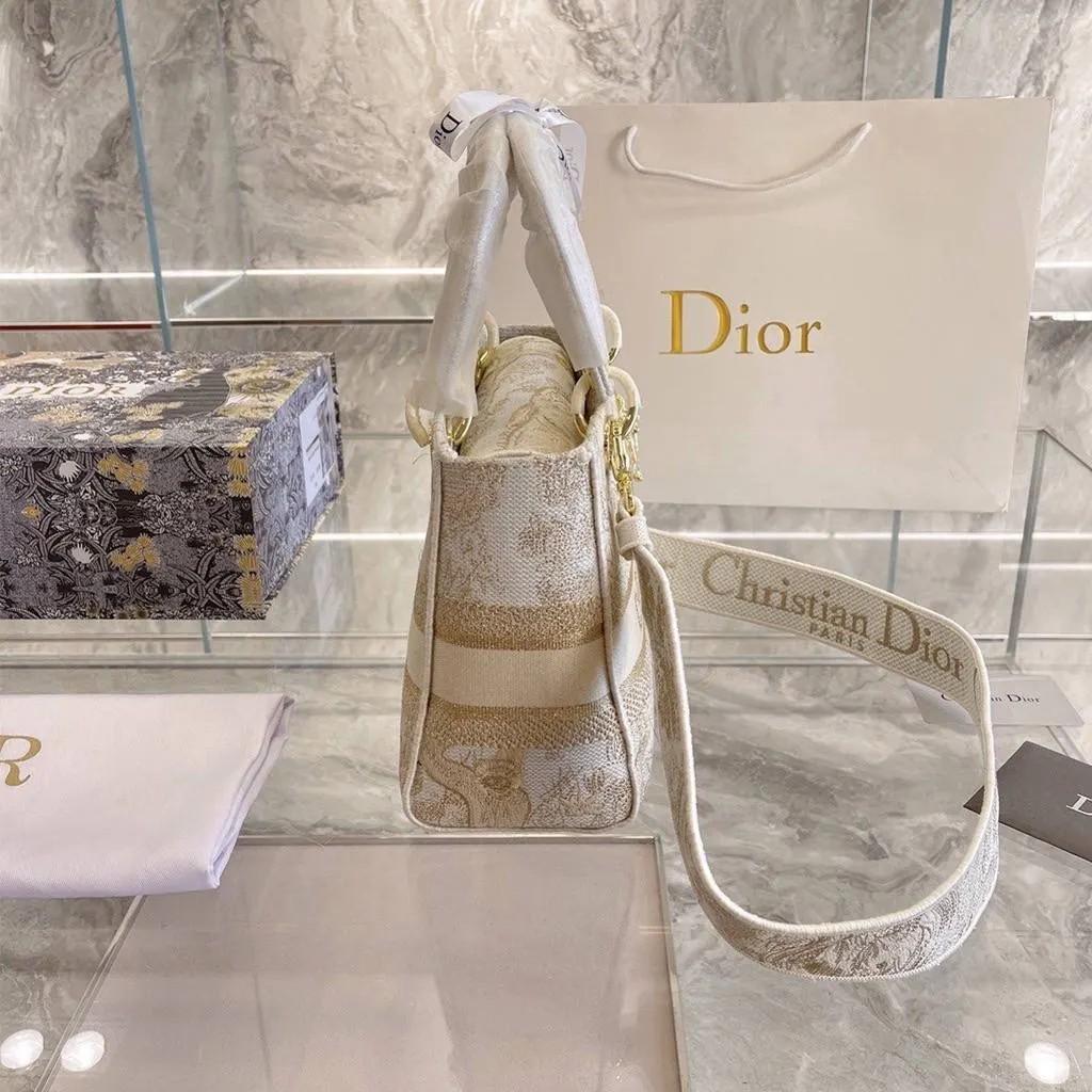 Dior Constellation Embroidery bag