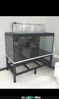 Fish stand stand