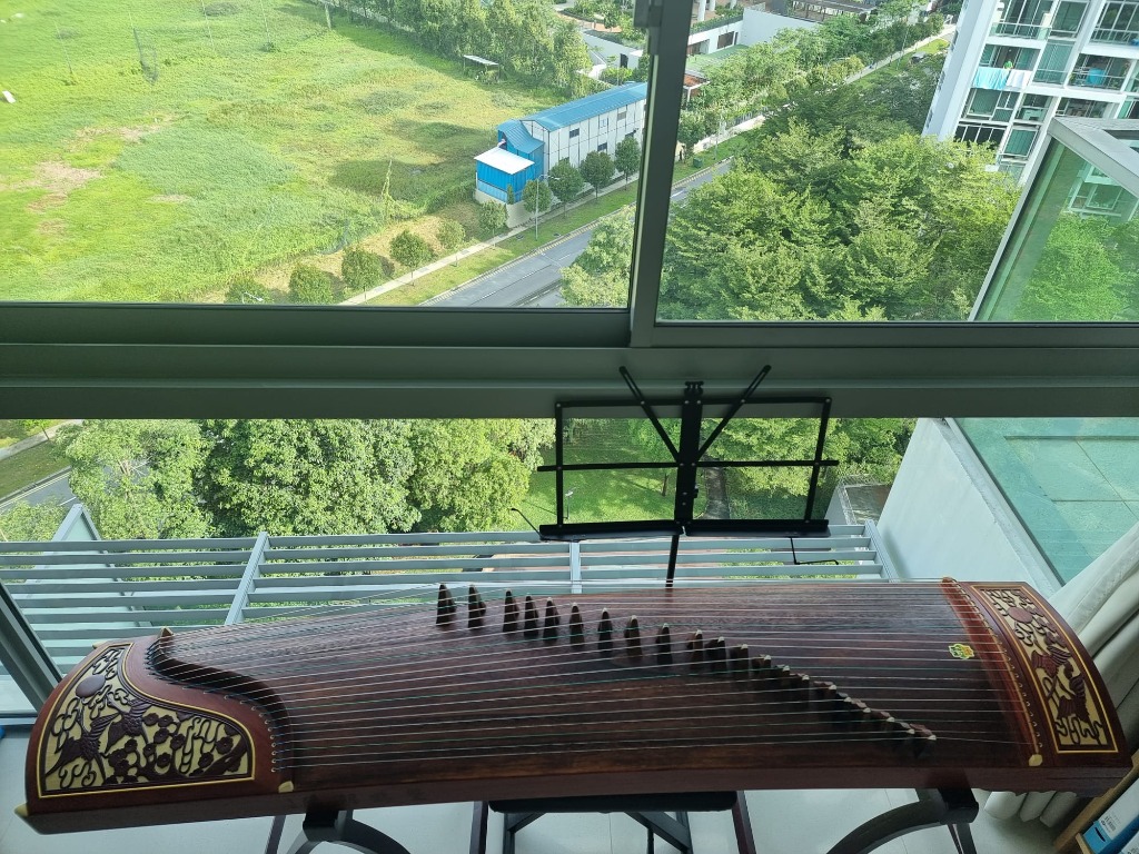 GUZHENG FOR SALE, Everything Else on Carousell