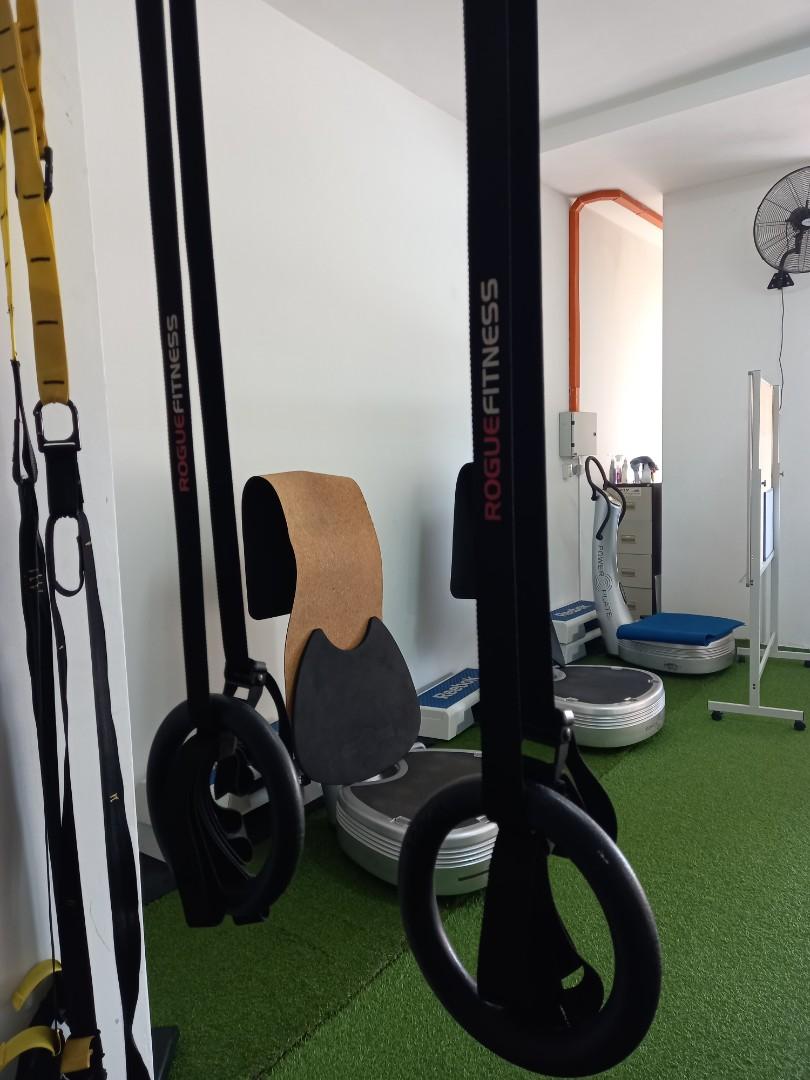 Rogue fitness gymnastic 2025 rings
