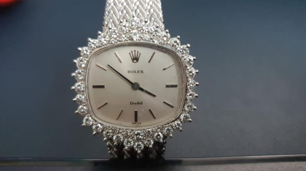 Rolex orchid on sale ladies watch price
