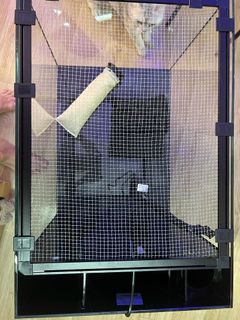 （分類：）位於 。 由 joyceyip97 提交（商品編號 1149635645，圖片 1）。簡介： 。