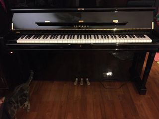 （分類：）位於 。 由 tidycat 提交（商品編號 1149631598，圖片 1）。簡介： 。