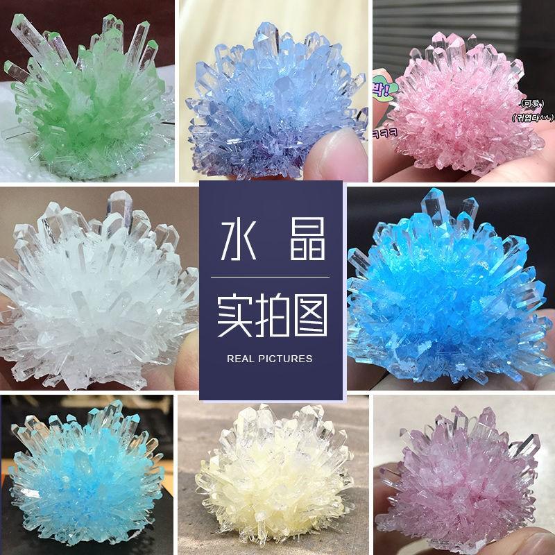 Crystal + Tree Growing Experiment Kit, Hobbies & Toys, Toys & Games on